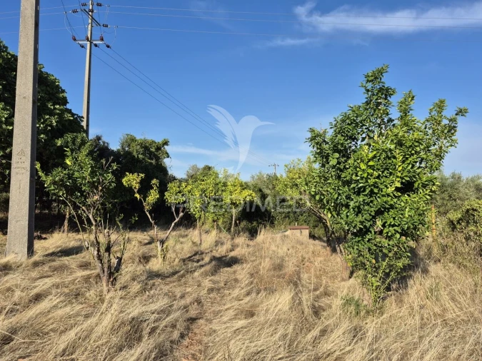 Terreno para Venda em Nossa Senhora da Conceição e São Bartolomeu Foto 35