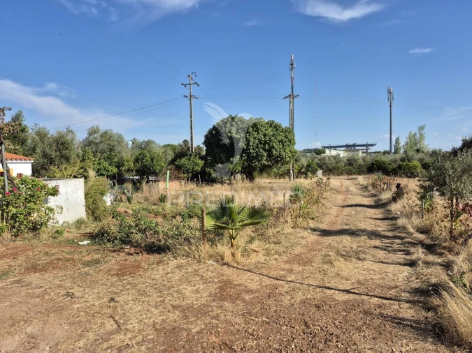 Terreno para Venda em Nossa Senhora da Conceição e São Bartolomeu Foto 6