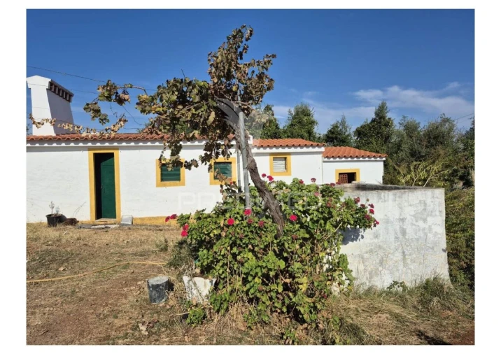 Terreno para Venda em Nossa Senhora da Conceição e São Bartolomeu Foto 12