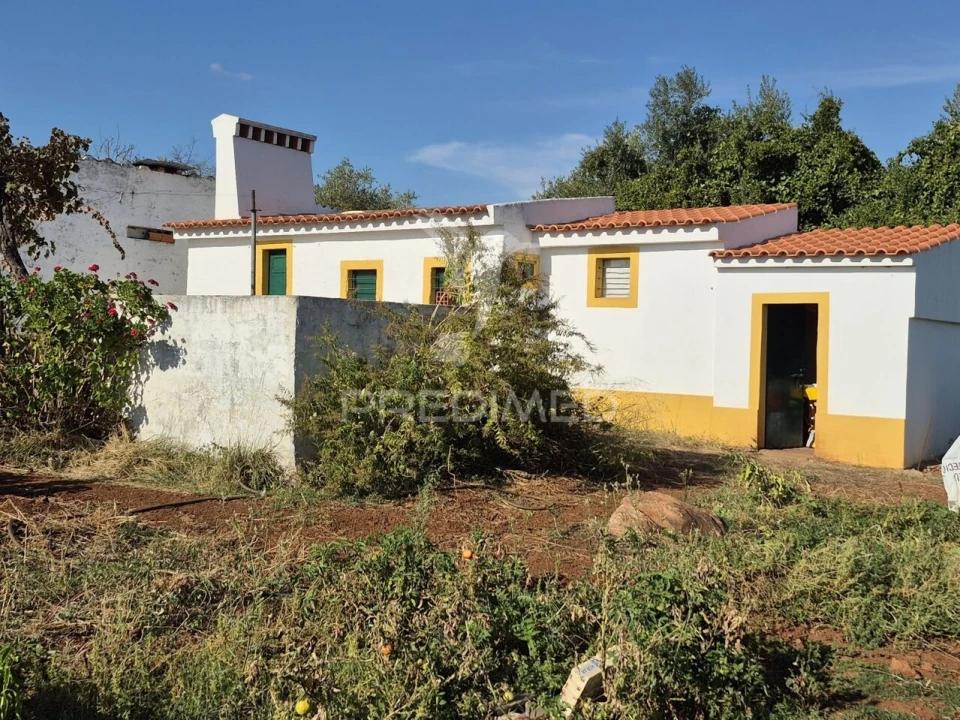 Terreno para Venda em Nossa Senhora da Conceição e São Bartolomeu Foto 26