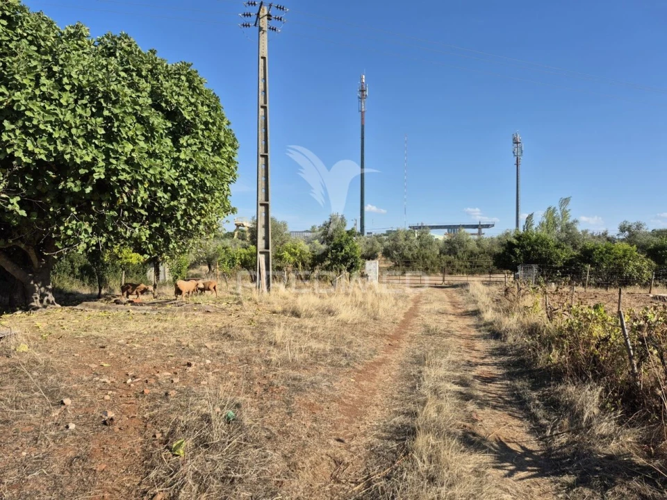 Terreno para Venda em Nossa Senhora da Conceição e São Bartolomeu Foto 24