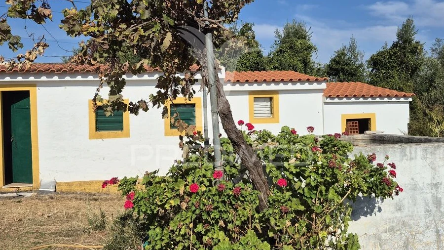 Terreno para Venda em Nossa Senhora da Conceição e São Bartolomeu