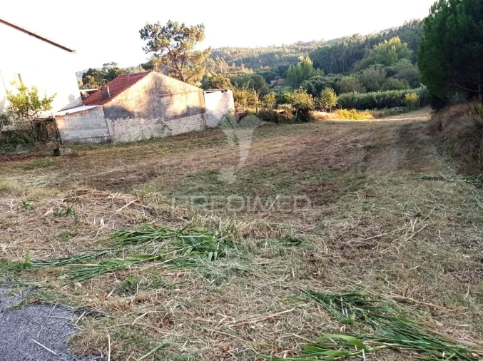 Terreno para Venda em Alcobertas Foto 4