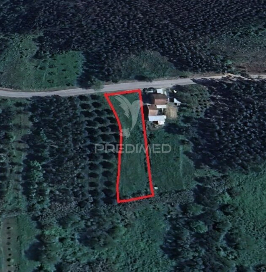 Terreno para Venda em Alcobertas Foto 1