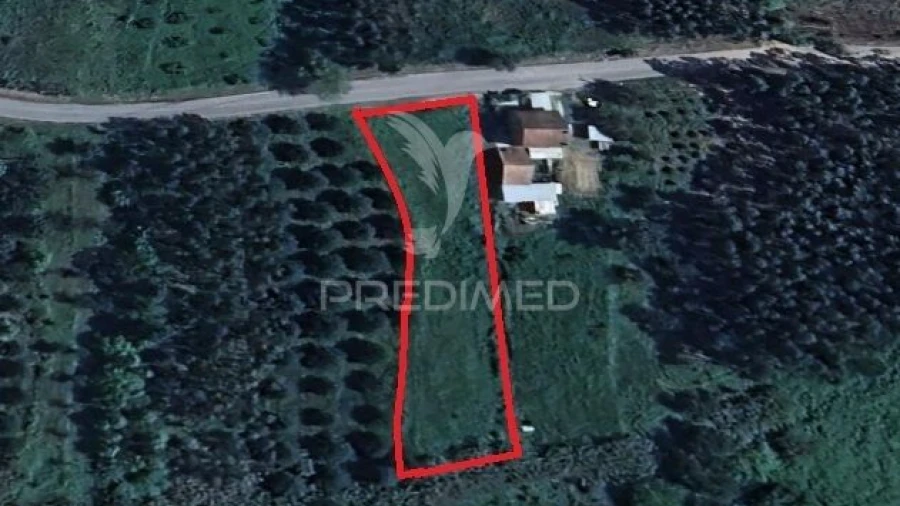 Terreno para Venda em Alcobertas