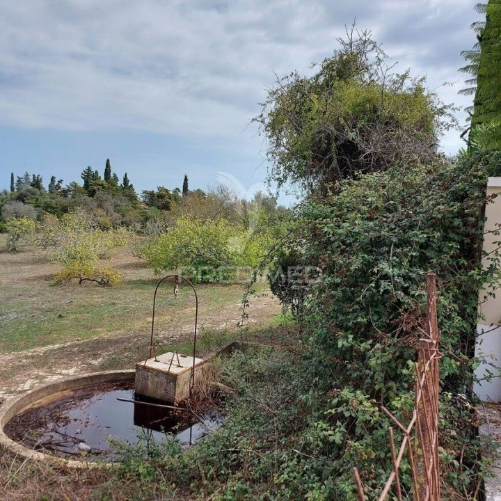 Terreno para Venda em Lagos (São Sebastião e Santa Maria) Foto 3