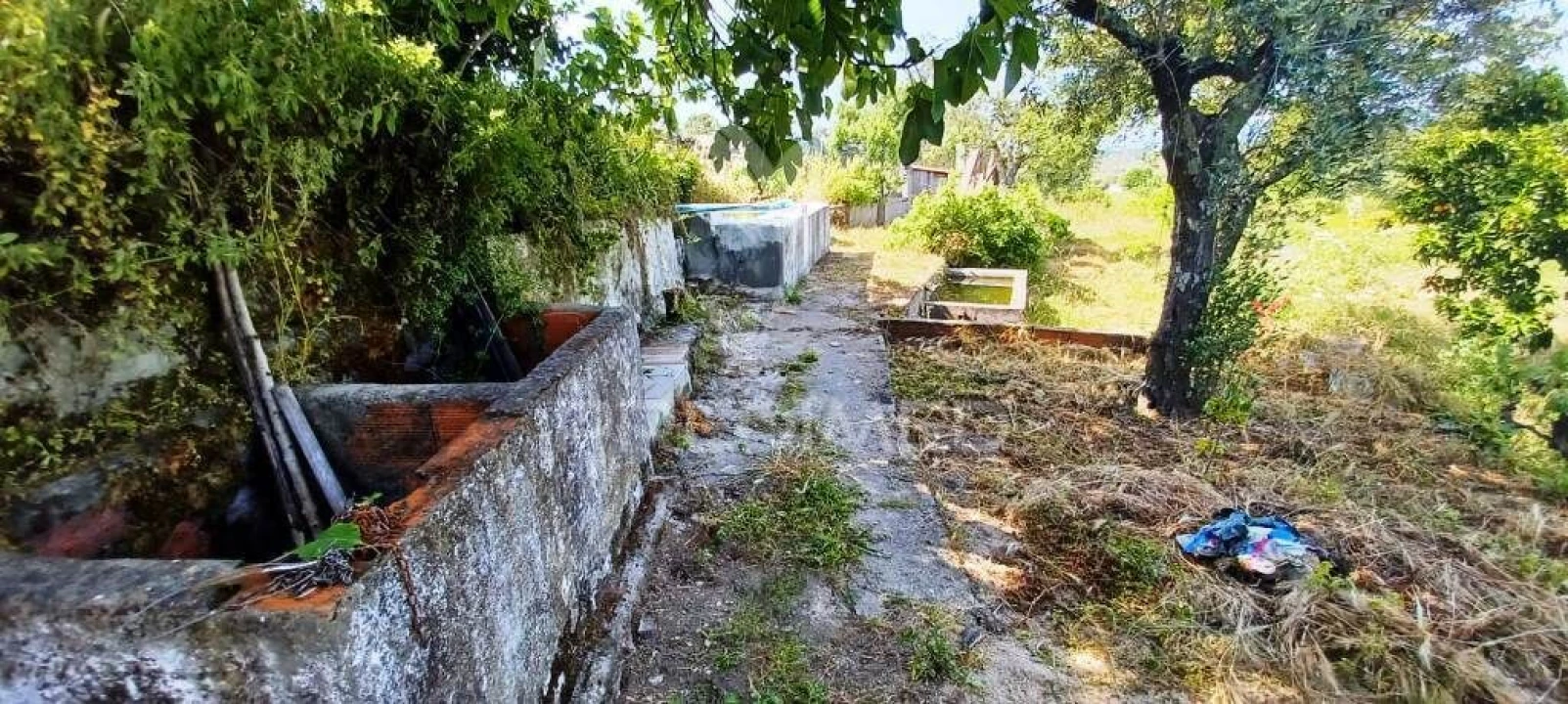 Quinta T3 para Venda em Fortios Foto 16