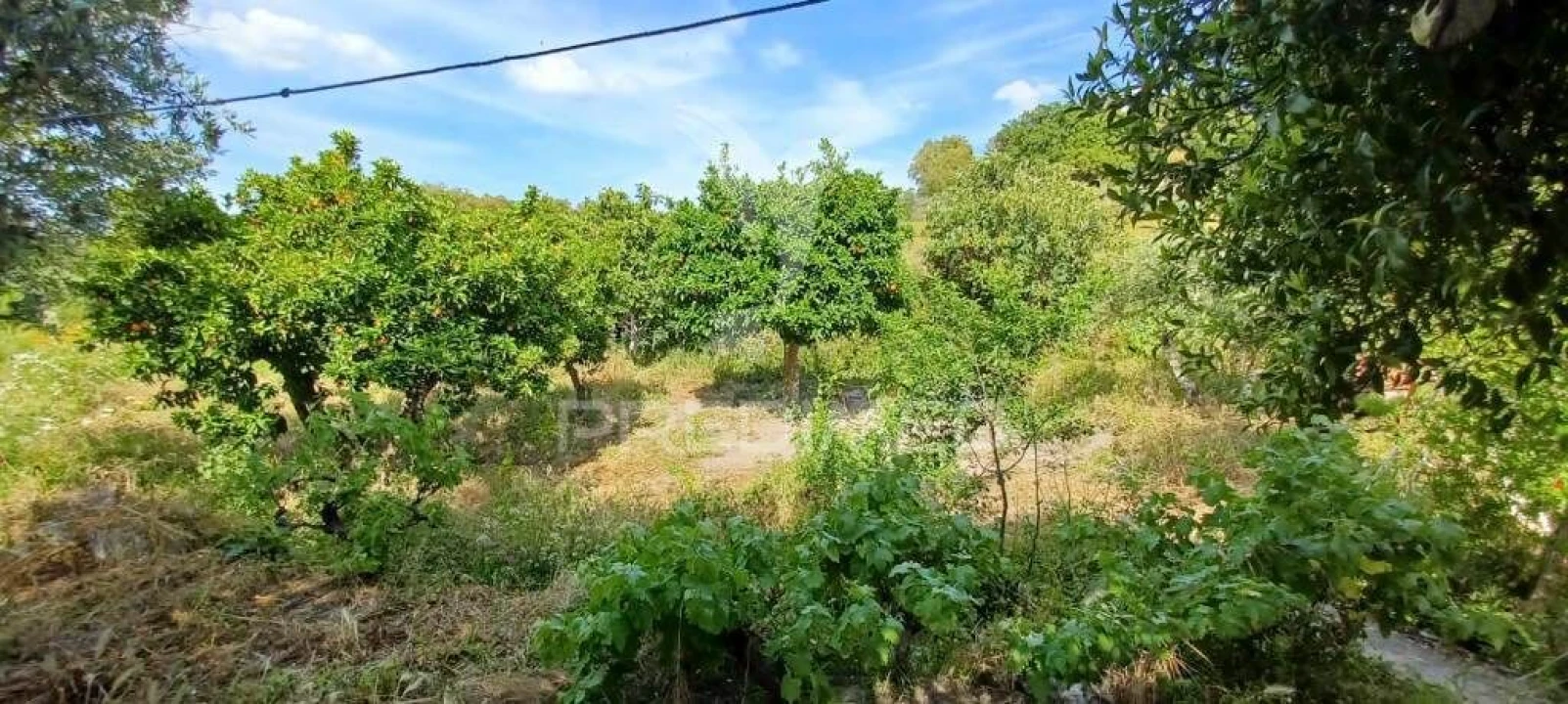 Quinta T3 para Venda em Fortios Foto 18