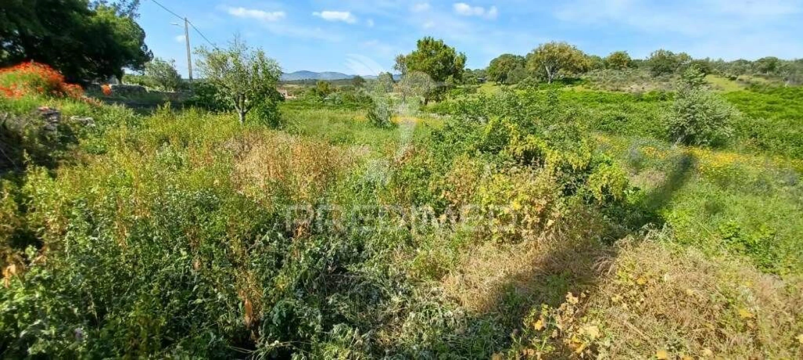 Quinta T3 para Venda em Fortios Foto 20