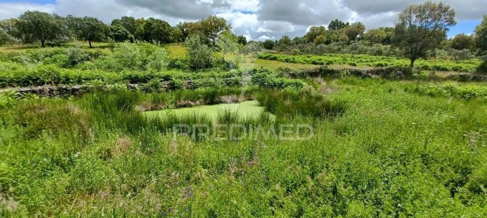 Quinta T3 para Venda em Fortios Foto 25