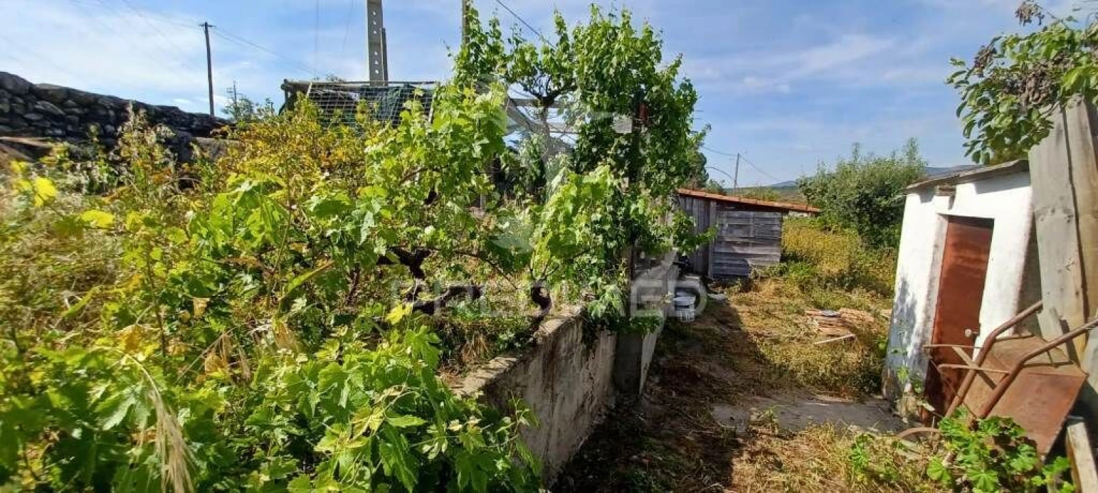 Quinta T3 para Venda em Fortios Foto 14