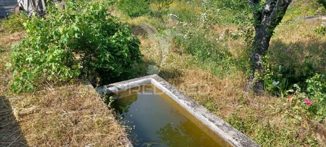 Quinta T3 para Venda em Fortios Foto 23