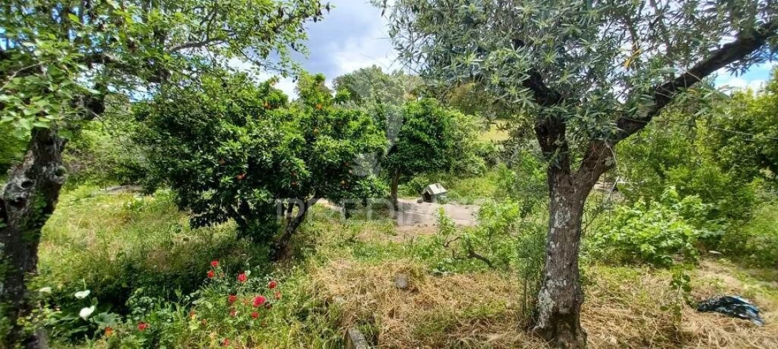 Quinta T3 para Venda em Fortios Foto 15