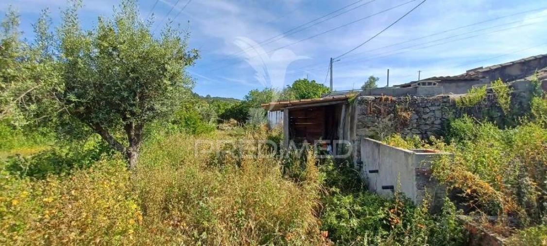 Quinta T3 para Venda em Fortios Foto 17