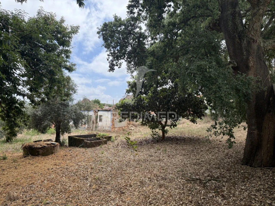 Moradia T3 para Venda em Nossa Senhora da Piedade Foto 16