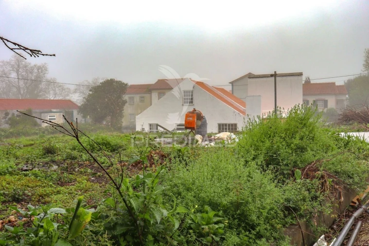 Moradia T2 para Venda em Santo Antão Foto 20