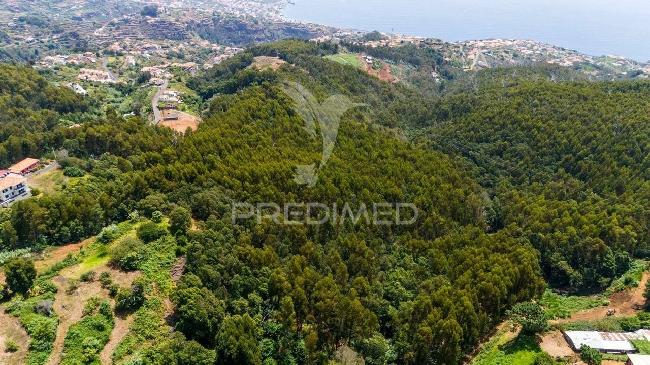 Terreno para Venda em Santa Cruz Foto 2