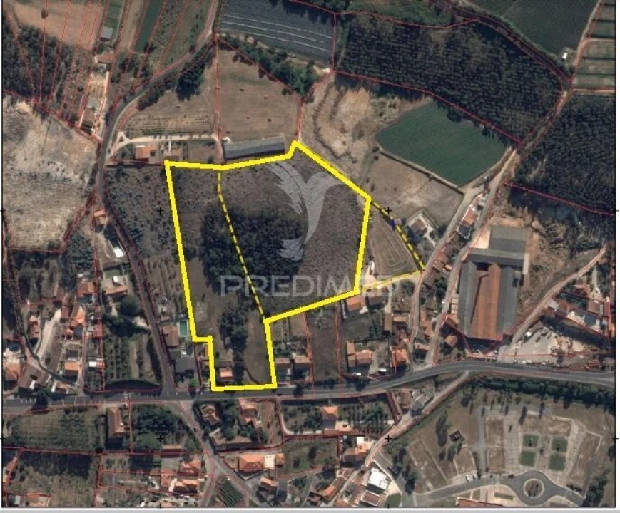 Quinta T3 para Venda em Ramalhal Foto 14