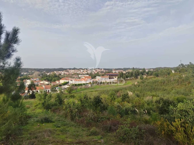 Quinta T3 para Venda em Ramalhal Foto 11