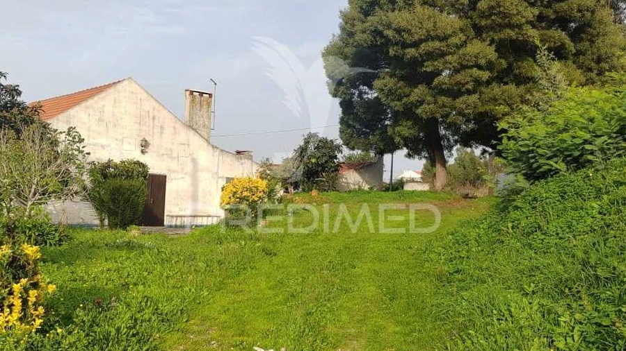 Quinta T3 para Venda em Ramalhal