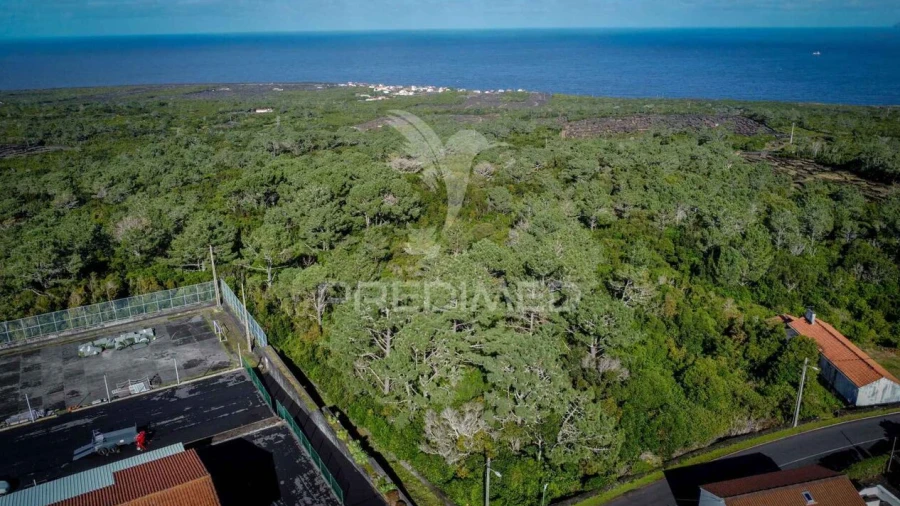 Terreno para Venda em Santa Luzia