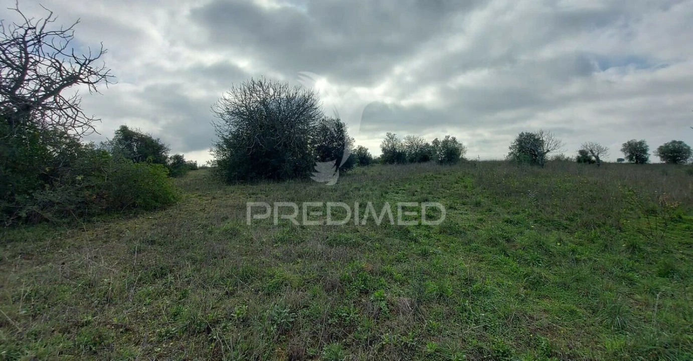 Terreno para Venda em Arneiro das Milhariças Foto 10