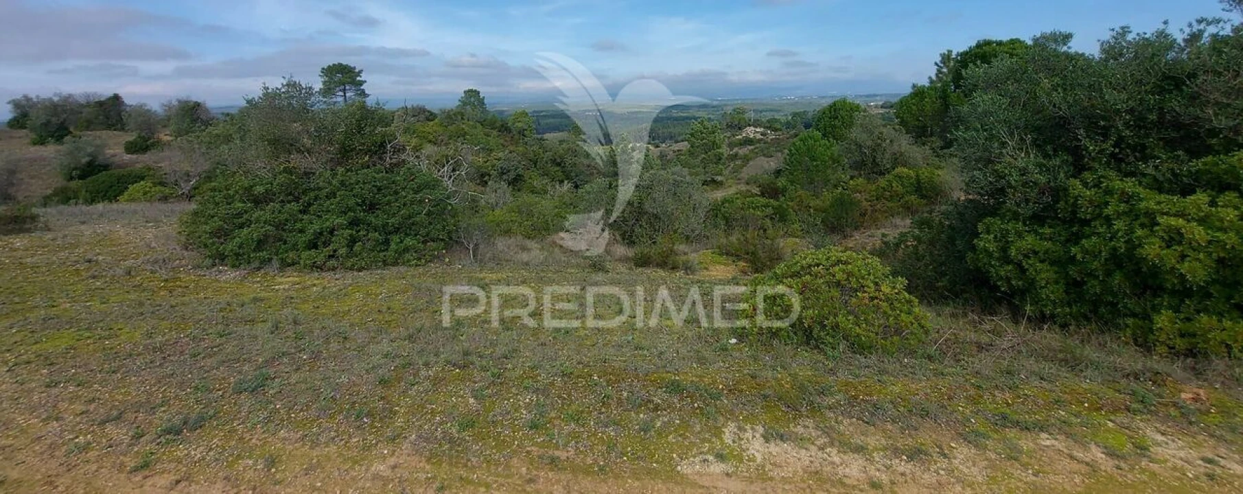 Terreno para Venda em Arneiro das Milhariças Foto 18
