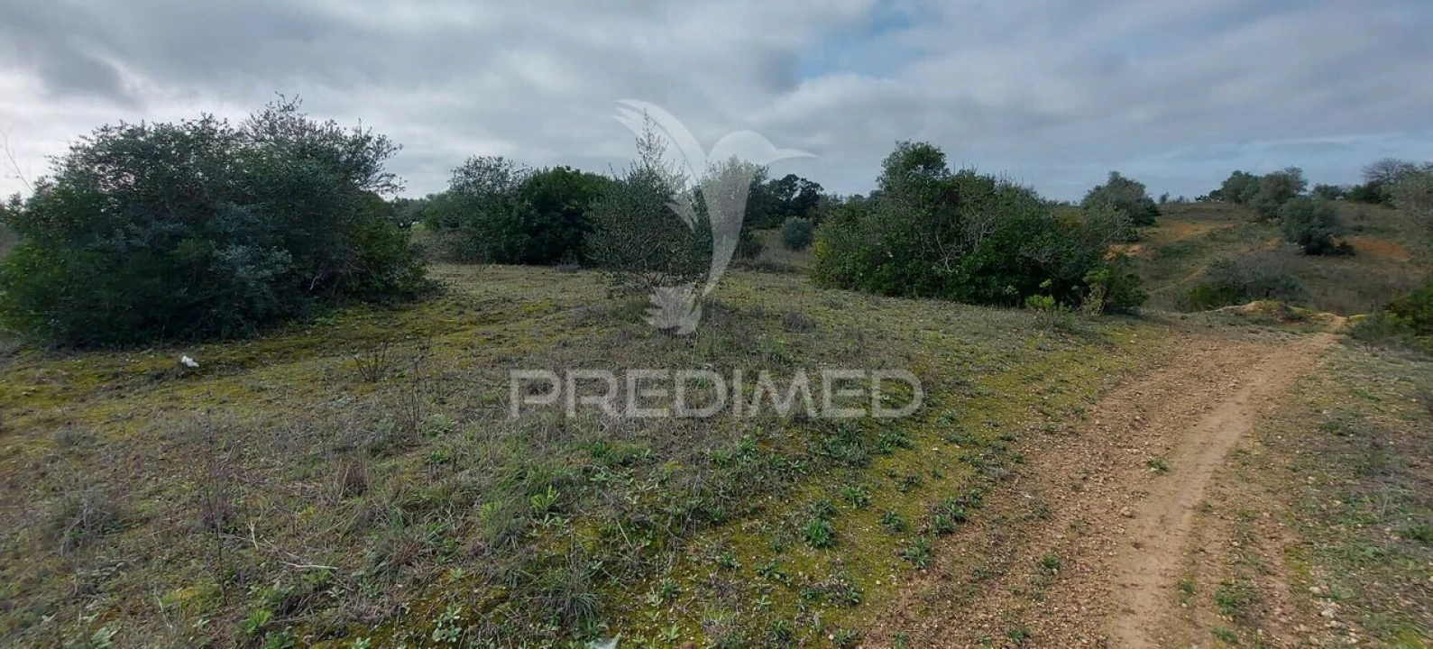 Terreno para Venda em Arneiro das Milhariças Foto 9