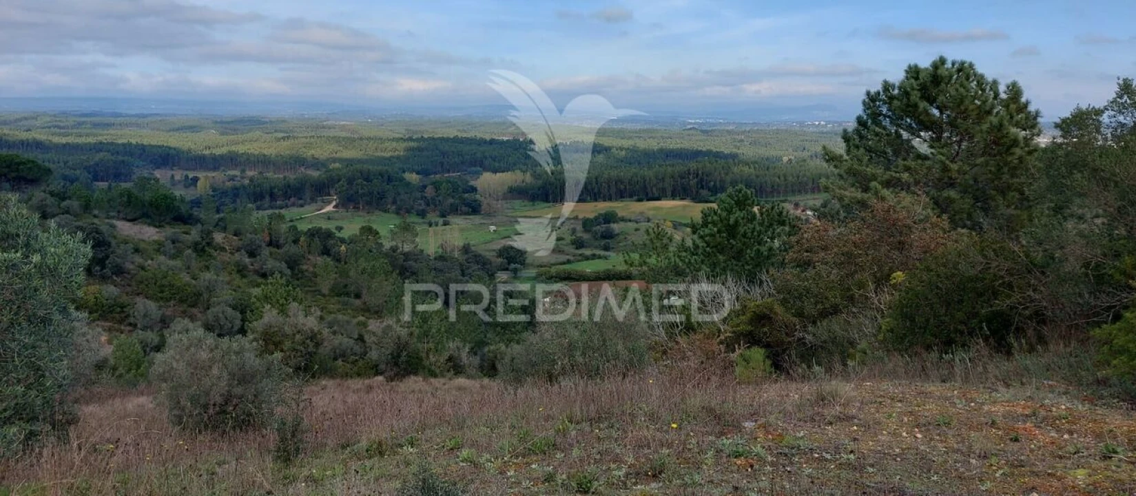 Terreno para Venda em Arneiro das Milhariças Foto 5