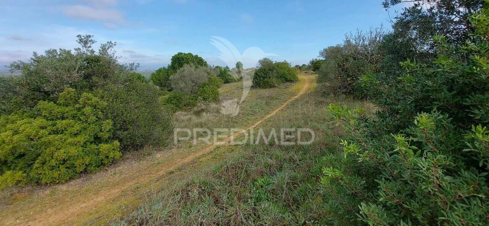 Terreno para Venda em Arneiro das Milhariças Foto 16