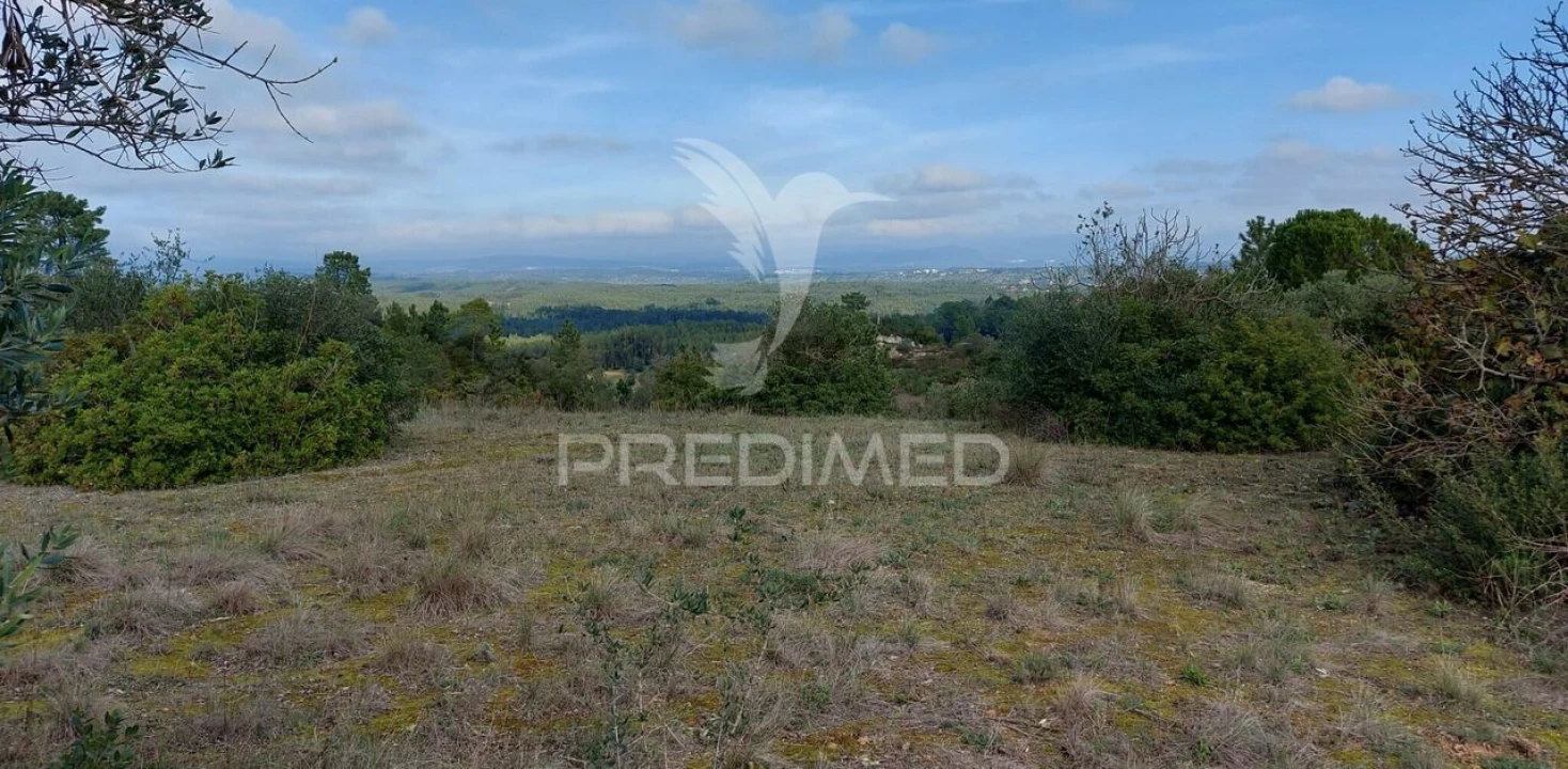 Terreno para Venda em Arneiro das Milhariças Foto 14