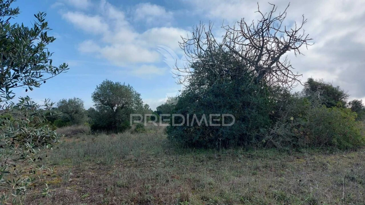 Terreno para Venda em Arneiro das Milhariças Foto 8