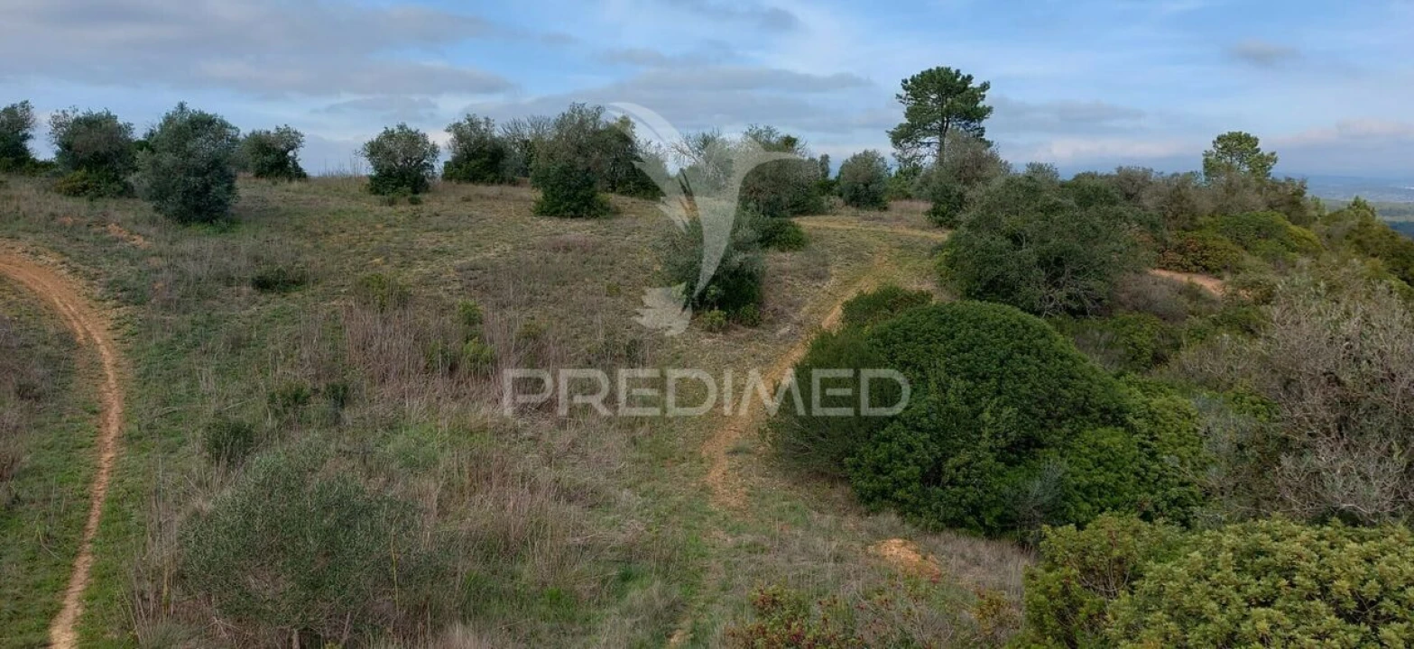 Terreno para Venda em Arneiro das Milhariças Foto 6