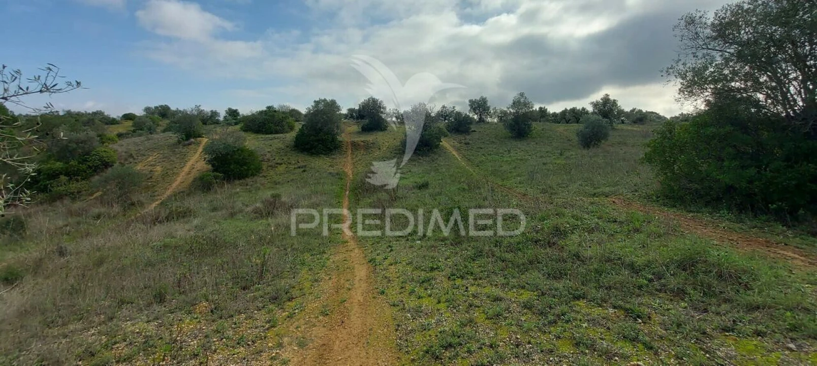Terreno para Venda em Arneiro das Milhariças Foto 4
