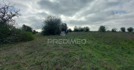 Terreno para Venda em Arneiro das Milhariças