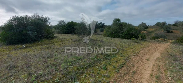 Terreno para Venda em Arneiro das Milhariças
