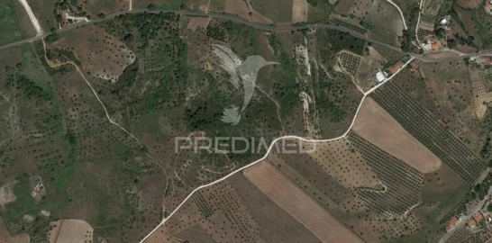 Terreno para Venda em Arneiro das Milhariças