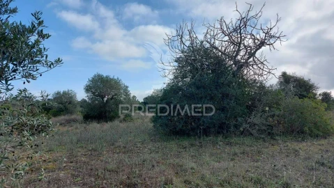 Terreno para Venda em Arneiro das Milhariças