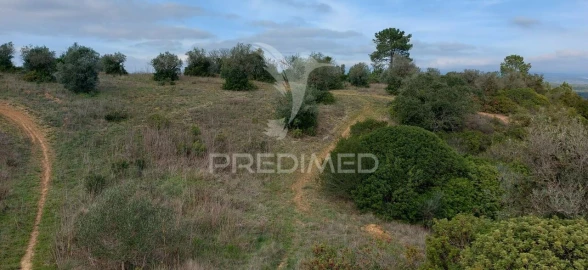 Terreno para Venda em Arneiro das Milhariças