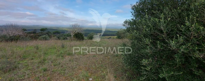 Terreno para Venda em Arneiro das Milhariças