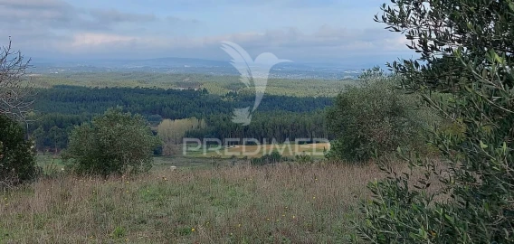 Terreno para Venda em Arneiro das Milhariças