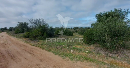 Terreno para Venda em Arneiro das Milhariças