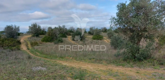 Terreno para Venda em Arneiro das Milhariças