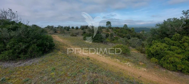 Terreno para Venda em Arneiro das Milhariças