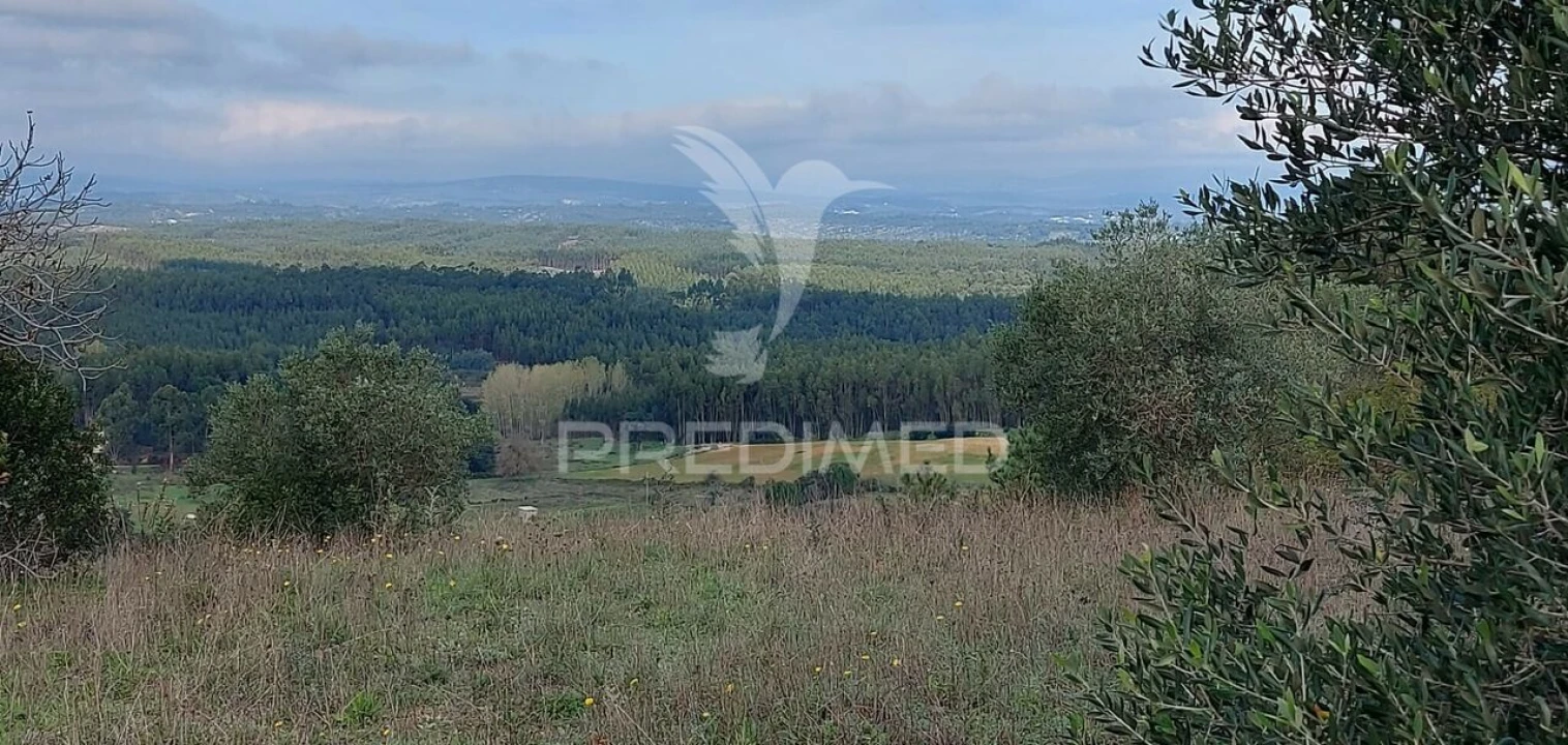 Terreno para Venda em Arneiro das Milhariças Foto 1