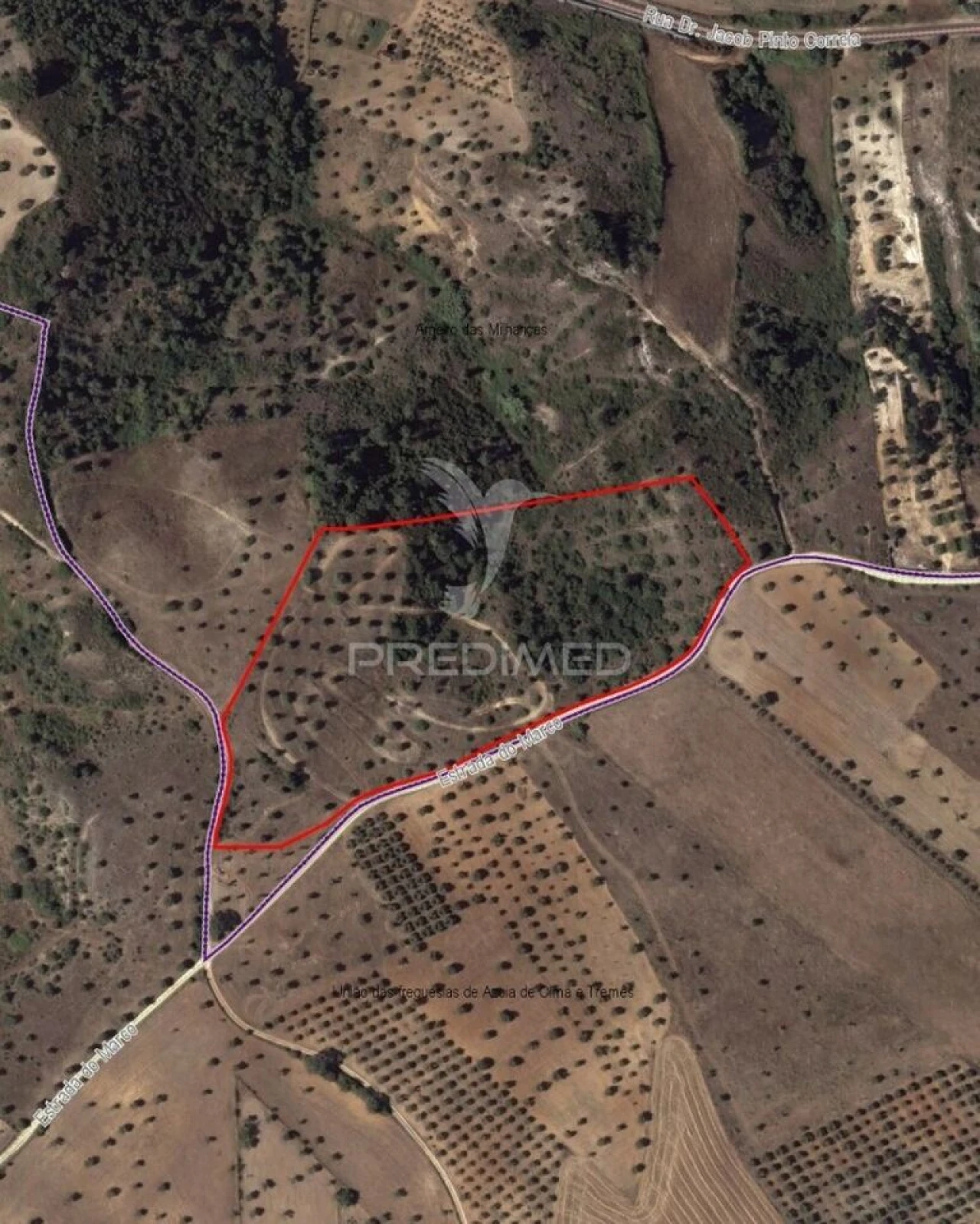 Terreno para Venda em Arneiro das Milhariças Foto 24