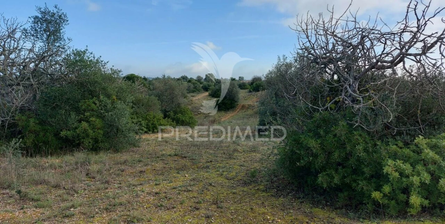 Terreno para Venda em Arneiro das Milhariças Foto 12
