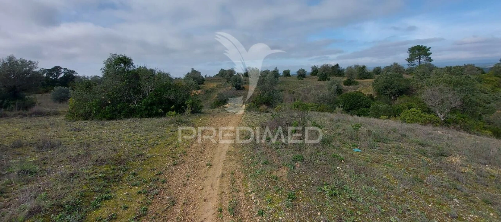 Terreno para Venda em Arneiro das Milhariças Foto 11