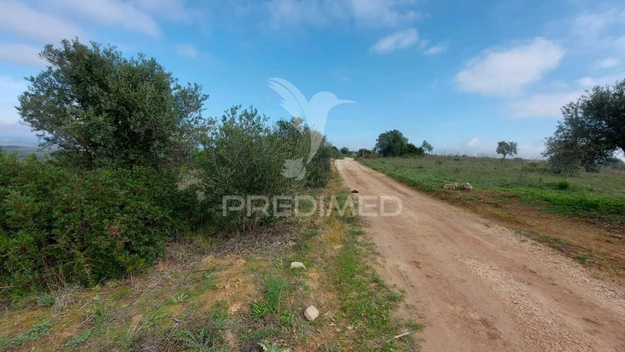 Terreno para Venda em Arneiro das Milhariças Foto 22