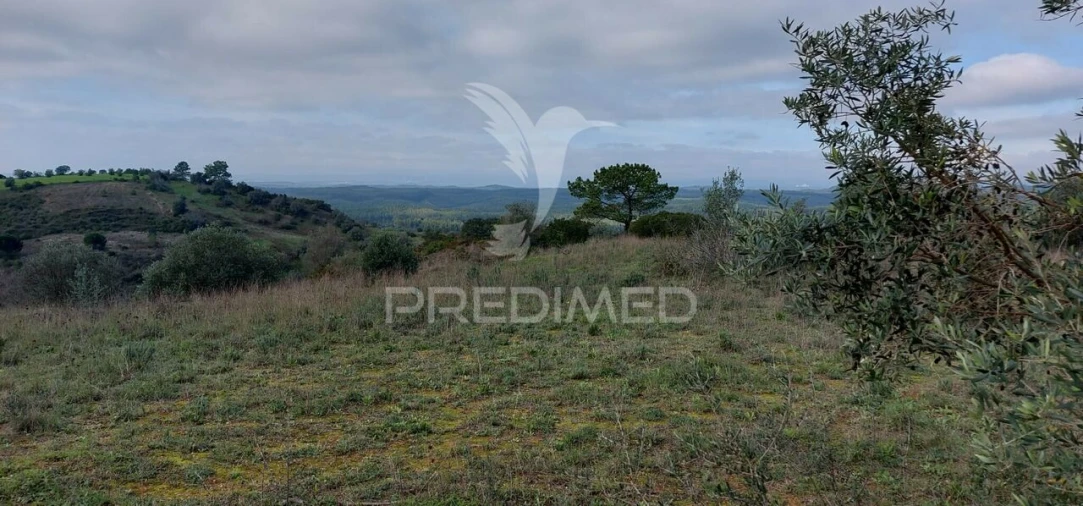 Terreno para Venda em Arneiro das Milhariças Foto 2